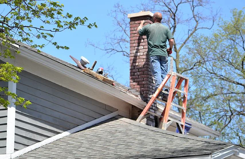 Chimney & Fireplace Inspections Services in Elyria, OH